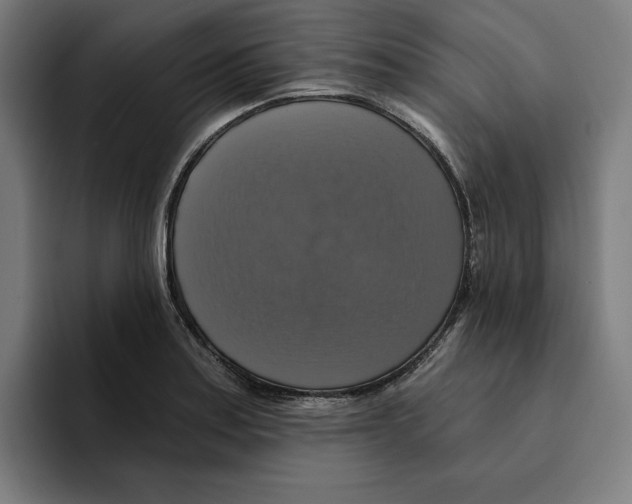 X0000094901179200712271446