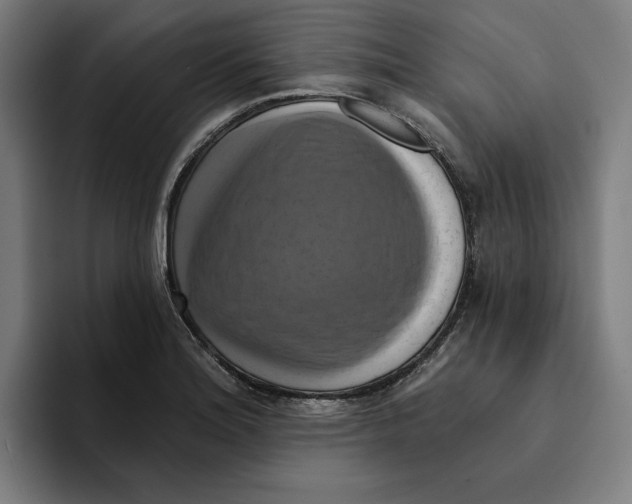 X0000094901180200712271446