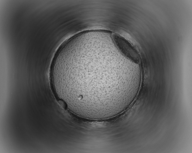 X0000094901181200712271446