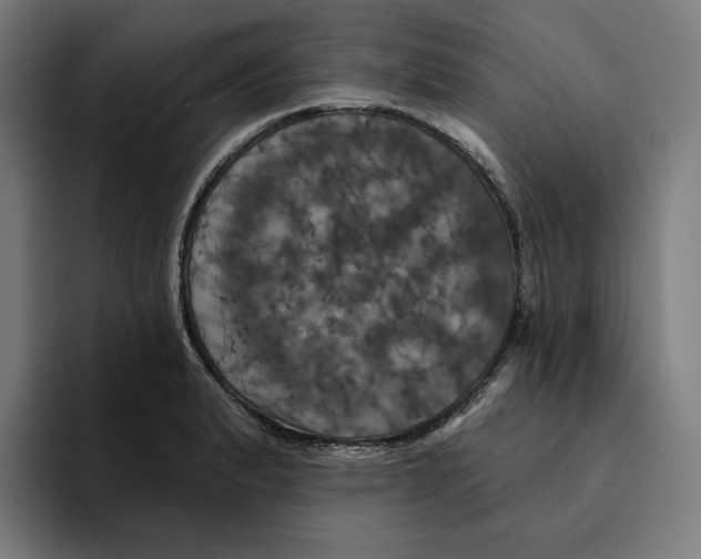 X0000094901183200712271446