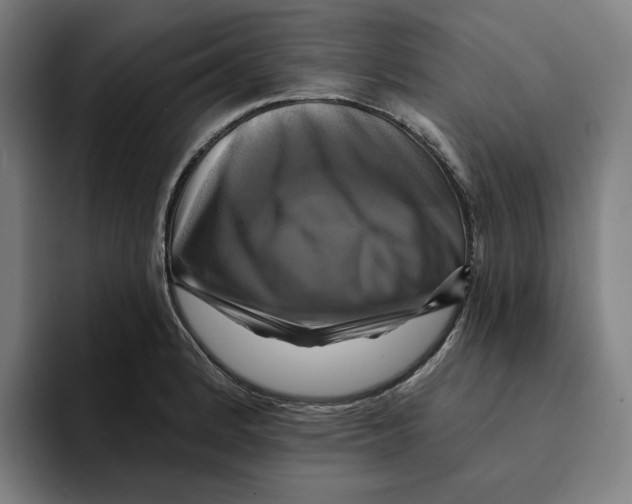 X0000094901184200712271446