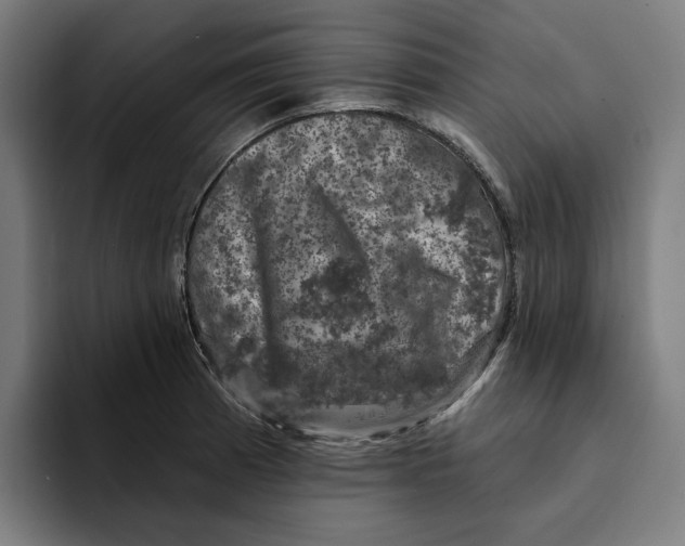 X0000094901185200712271446