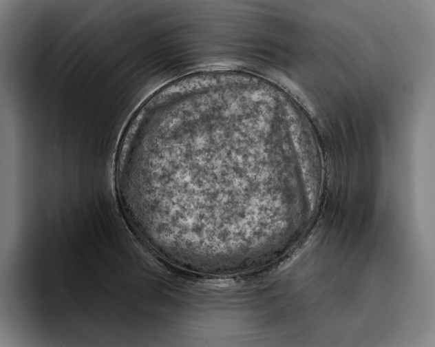 X0000094901186200712271446