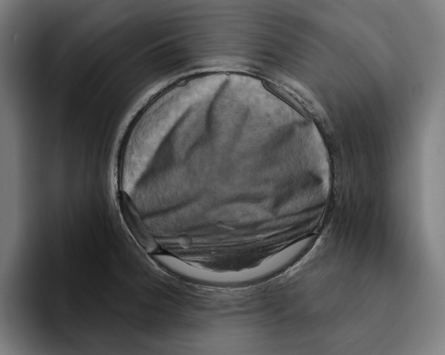 X0000094901188200712271446