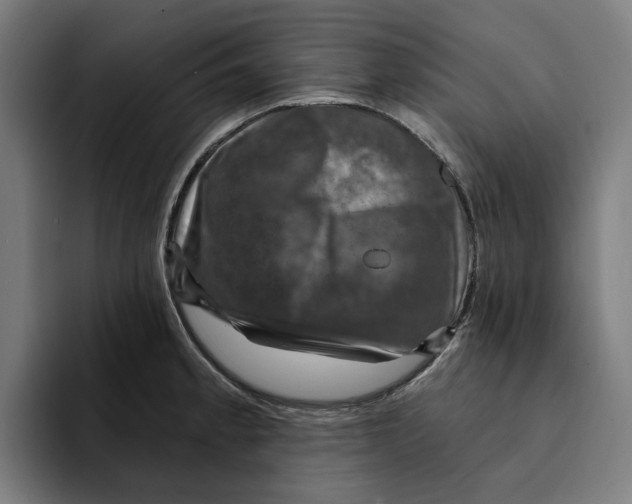 X0000094901189200712271446