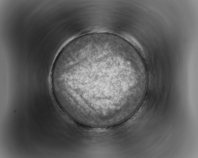 X0000094901190200712271446