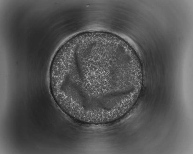 X0000094901191200712271446