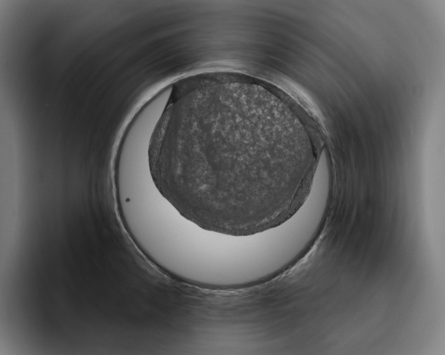 X0000094901192200712271446