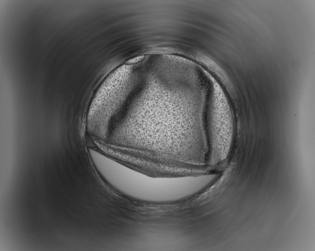 X0000094901193200712271446