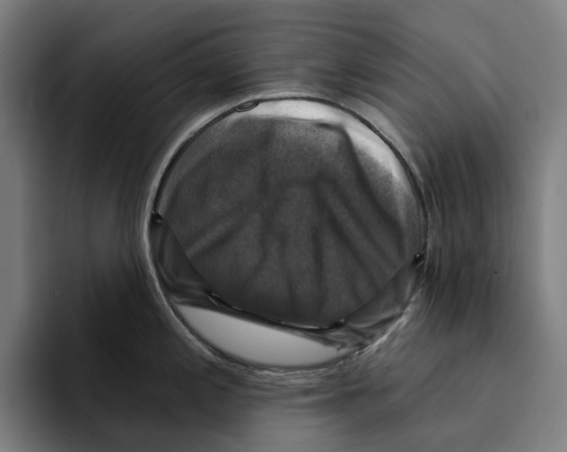 X0000094901197200712271446