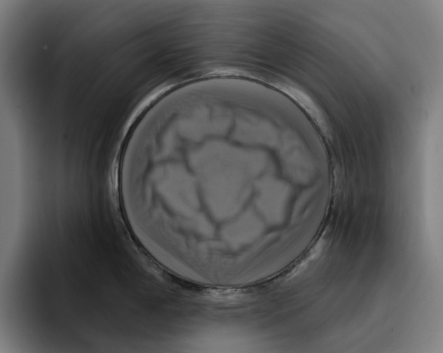 X0000094901198200712271446