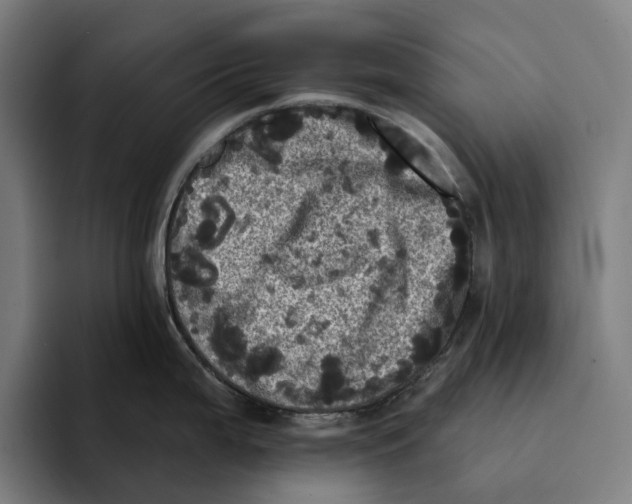 X0000094901199200712271446