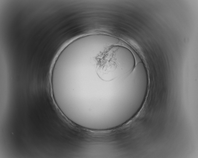 X0000094901200200712271446