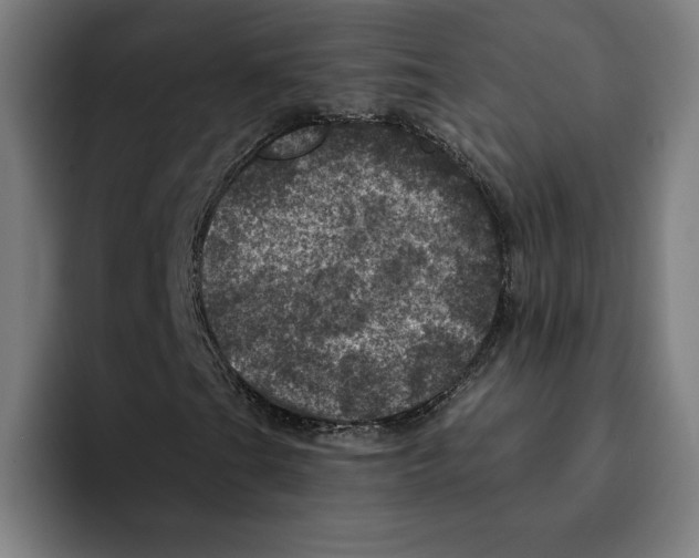 X0000094901201200712271445