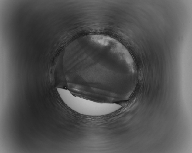 X0000094901202200712271445