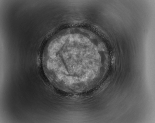 X0000094901204200712271445