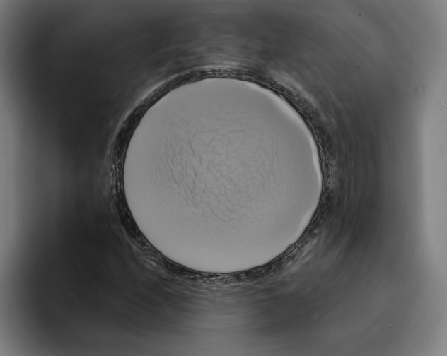 X0000094901208200712271445