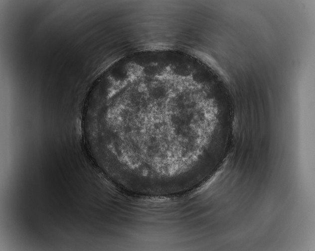 X0000094901209200712271445