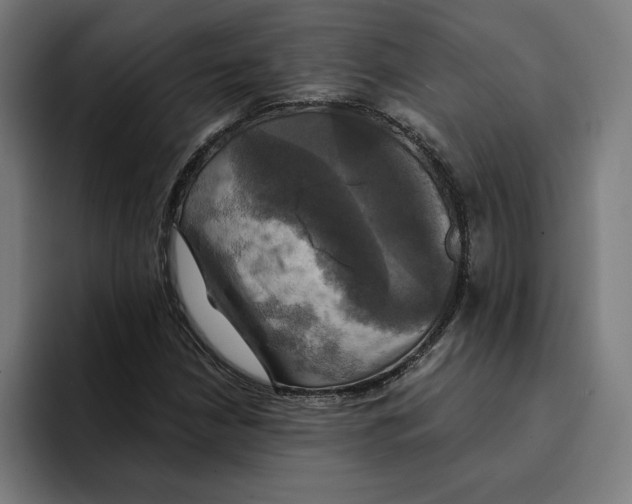 X0000094901210200712271445