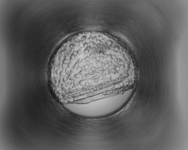 X0000094901212200712271445