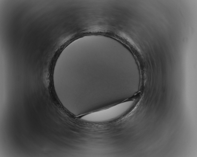 X0000094901213200712271445