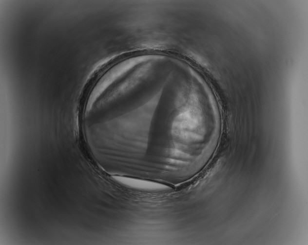 X0000094901214200712271445