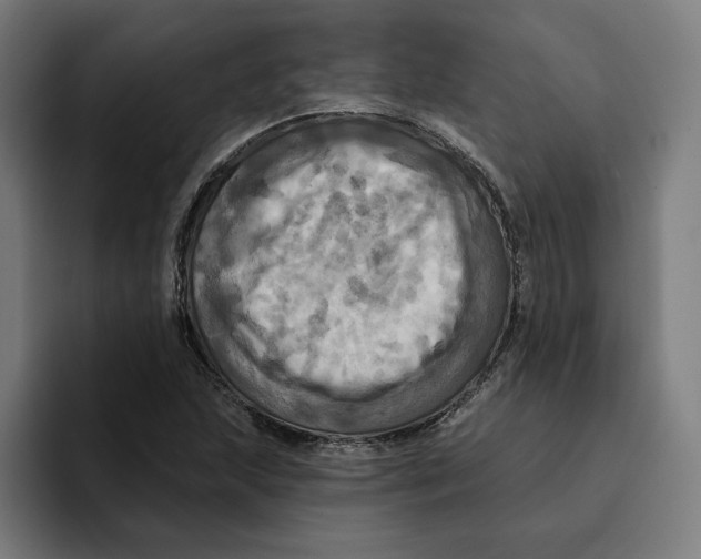 X0000094901215200712271445