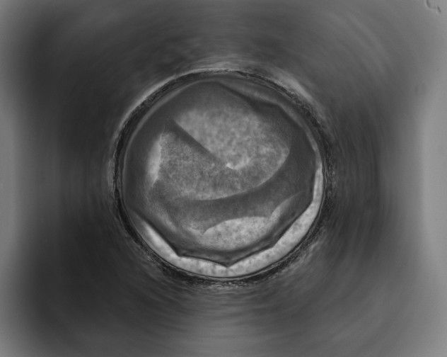 X0000094901216200712271445