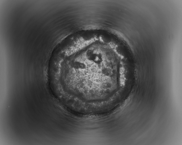 X0000094901217200712271445