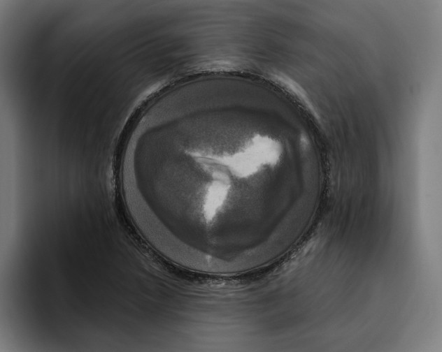 X0000094901218200712271445