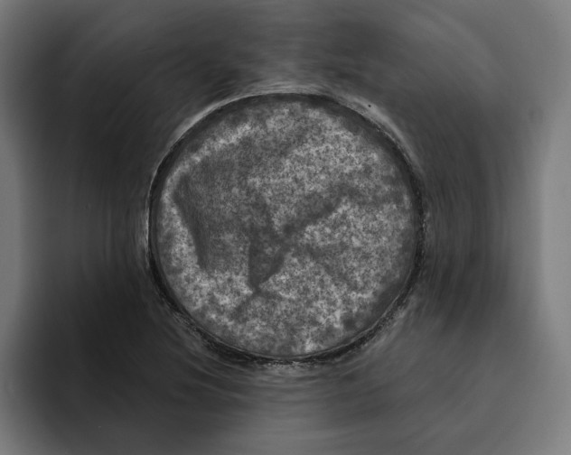 X0000094901220200712271445