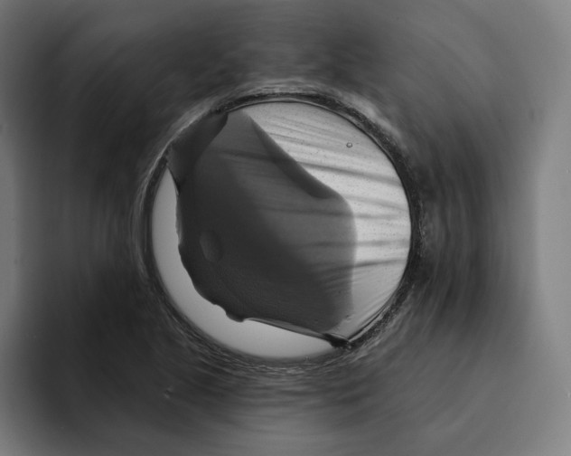 X0000094901221200712271446