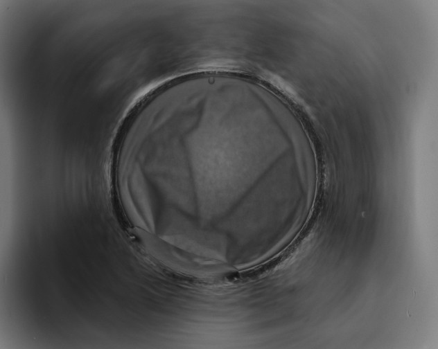 X0000094901222200712271446