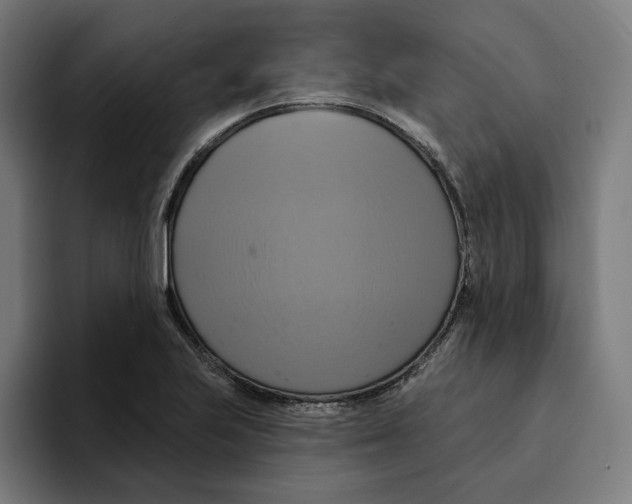 X0000094901223200712271446