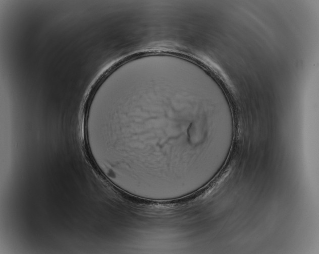 X0000094901224200712271446