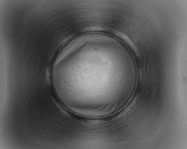 X0000094901225200712271446