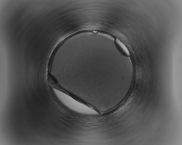 X0000094901226200712271446