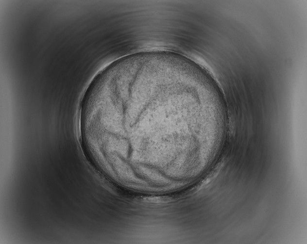 X0000094901227200712271446