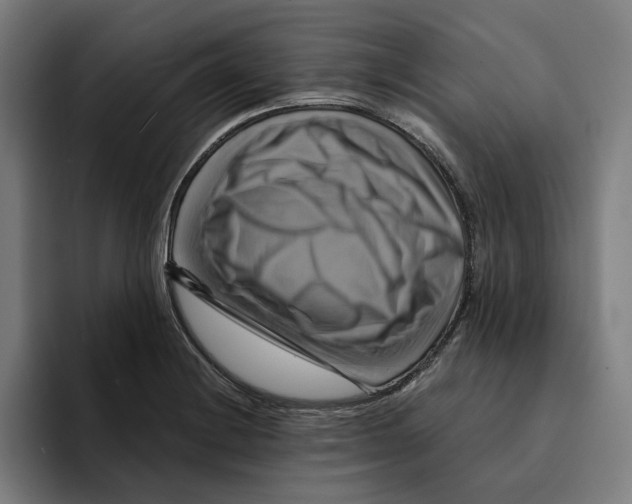 X0000094901228200712271446