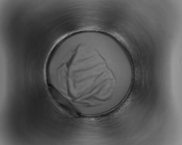 X0000094901230200712271446