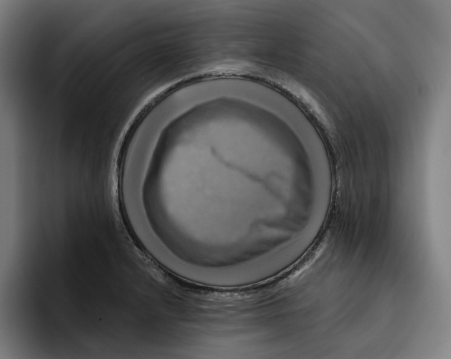 X0000094901232200712271446