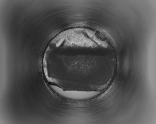 X0000094901233200712271446