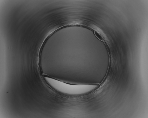 X0000094901234200712271446