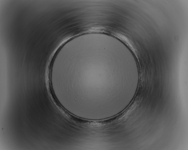 X0000094901235200712271446