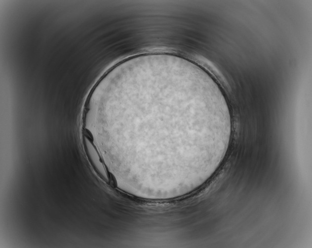 X0000094901236200712271446