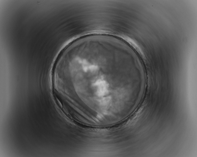 X0000094901238200712271446