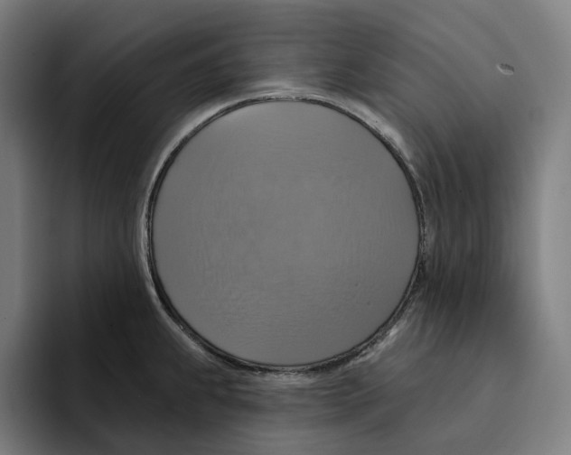 X0000094901239200712271446