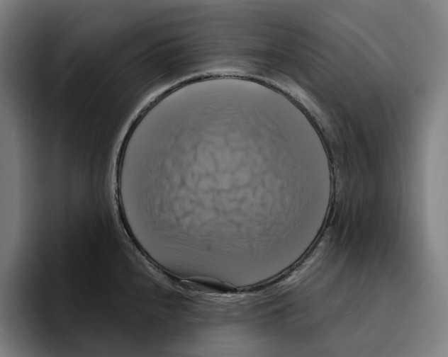 X0000094901240200712271446