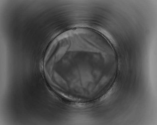 X0000094901241200712271446