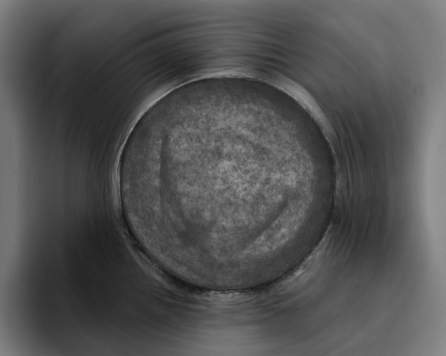 X0000094901242200712271446